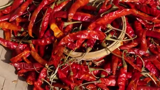 červené chilli mnoho z plochého úhlu v den - Záběry, video