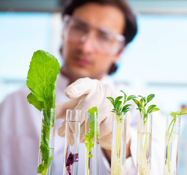 El científico químico de biotecnología masculino que trabaja en el laboratorio - Foto, Imagen