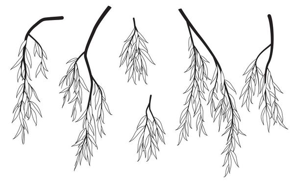 Set of black and white tree branches with leaves isolated on blank background. Vector monochrome weeping willow tree line art illustration. Outline deciduous plant element. - Wektor, obraz