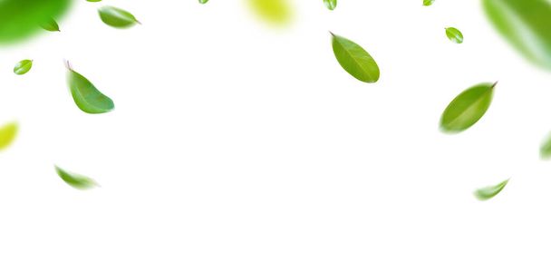 Green Floating Leaves Flying Leaves Green Leaf Dancing, Air Purifier Atmosphere Simple Main Picture	 - Φωτογραφία, εικόνα