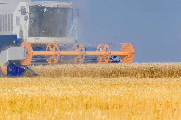 Combine harvester working  - Photo, Image