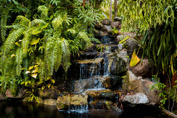 Luxury landscape design of the tropical garden. - Foto, Bild