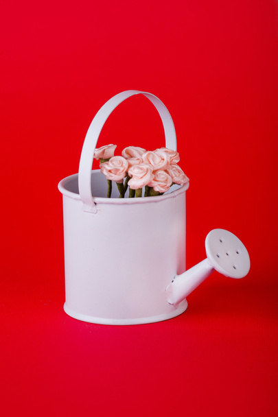 Garden bucket - Photo, Image