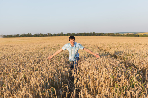 людина на пшеничному полі
 - Фото, зображення
