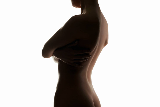 Nude silhouette of Woman. Beautiful body. girls Back. - Fotoğraf, Görsel