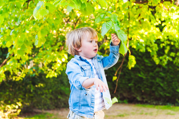 Toddler biały chłopiec bawi się liści w parku w piękny letni dzień - Zdjęcie, obraz