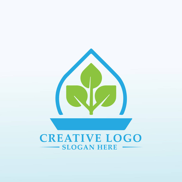 Progettare un logo Premium per la società Plant Saucer - Vettoriali, immagini