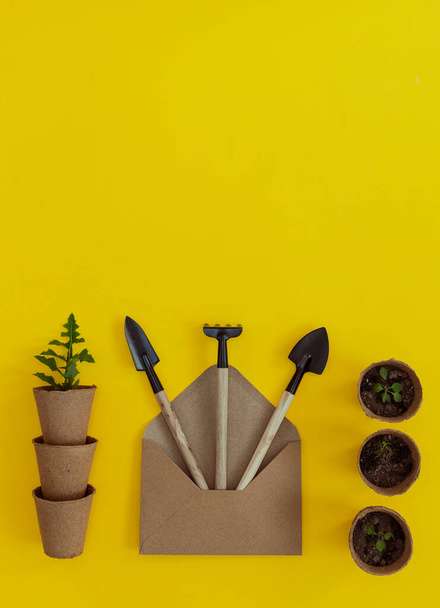 Trois outils de jardin sortent d'une enveloppe artisanale, et à côté de celle-ci se trouvent des gobelets en carton avec de la terre et des germes couchés sur un fond jaune avec de l'espace pour copier. Le concept de jardinage, semer des graines, des cadeaux créatifs. - Photo, image