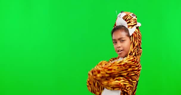 Πράσινη οθόνη, σταυρωμένα τα χέρια και το παιδί με κοστούμι τίγρη, δροσερό ντύσιμο και φορεσιά για goofy στάση. Απόκριες μόδας, στούντιο και πορτρέτο του κοριτσιού ευτυχισμένη με κόμμα ντύνομαι για κόμικ, αστείο και meme. - Πλάνα, βίντεο