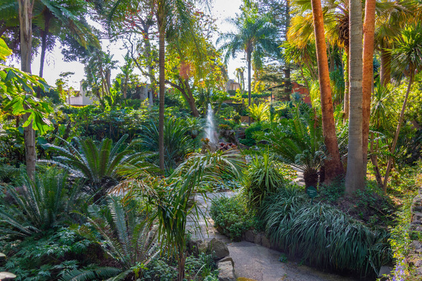 View of the Giardini la Mortella gardens at Ischia, Italy. - Фото, изображение
