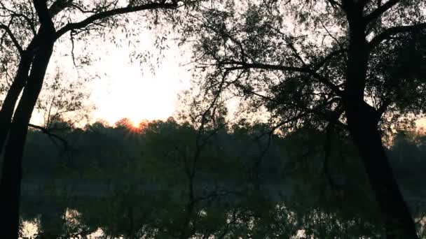 Sonnenaufgang mit Strahlen und ruhigem Morgenfluss. Zeitraffer - Filmmaterial, Video