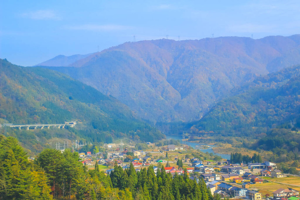 日本の真ん中にカラフルな葉があり - 写真・画像