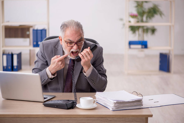 Old businessman employee working at workplace - Photo, Image
