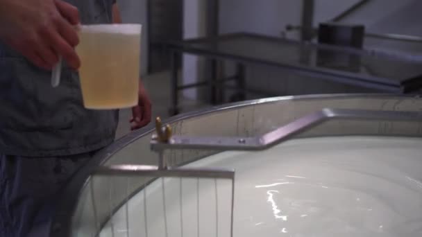 Käser schüttet Lab in einen großen Edelstahltank voller Milch. Nahaufnahme - Filmmaterial, Video