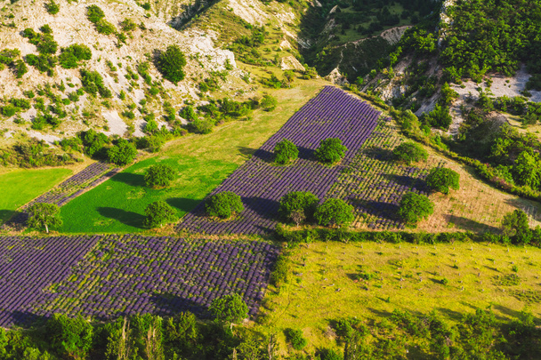 Aerial the lavender fields in Provence, France - Fotó, kép