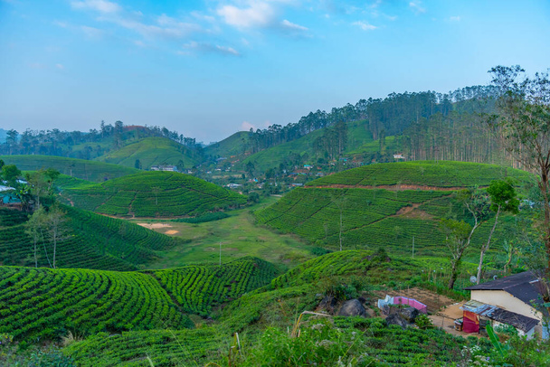 Paisagem montanhosa do Sri Lanka pontilhada com aldeias e plantações de chá vistas de um trem. - Foto, Imagem