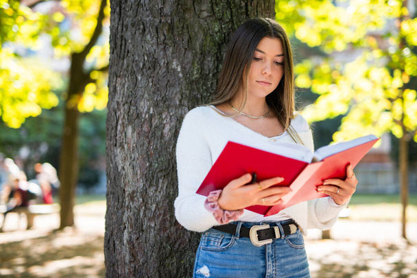Young woman reading a book in a park - Foto, afbeelding