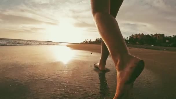 日没の風光明媚な海岸での女性の切り取られた映像 - 映像、動画