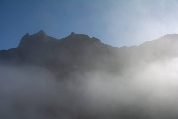スペインのテネリフェ島のマスカ近くの緑のテノ山脈の霧 - 写真・画像