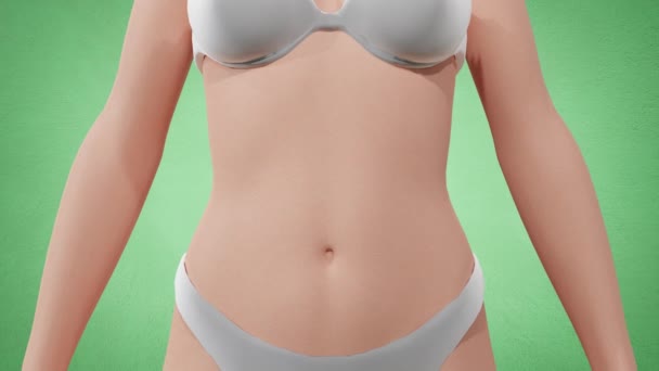 4K 3D Animation des Körpers Fettleibigkeit. Frau Körpergewicht zunehmen Bauchwachstum Taillenreduktion Körper werden fettleibiger. - Filmmaterial, Video