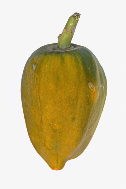 Παπάγια, Carica papaya, Caricaceae - Φωτογραφία, εικόνα