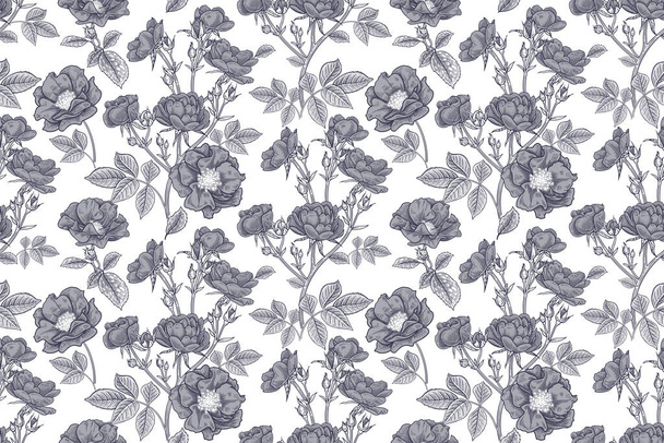 Black and white background. Seamless floral pattern. Flowers of cute decorative roses. Vector art illustration. Template for textile, paper, wallpaper. Vintage. - Vetor, Imagem