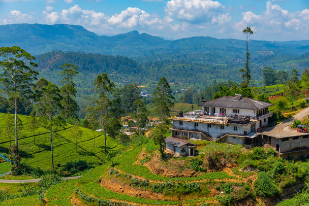 Hilly landscape of Sri Lanka dotted with villages and tea plantations near Nuwara Eliya. - Foto, Imagem