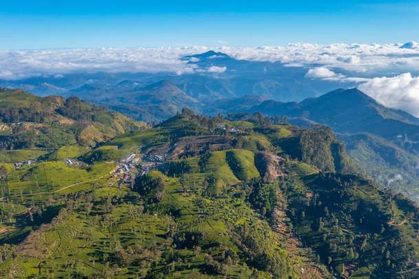 Aerial view of Lipton's seat viewpoint and adjacent tea plantations at Sri Lanka. - Фото, изображение