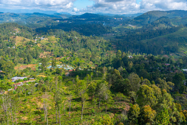 Tea plantations around Haputale in Sri Lanka. - Zdjęcie, obraz