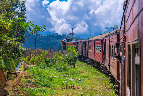 Train winding on a hillside track among tea plantations at Sri Lanka. - 写真・画像
