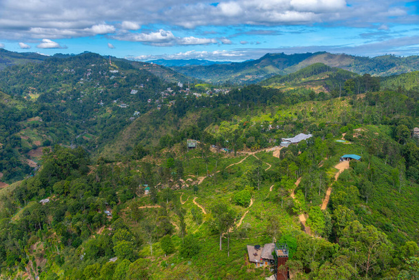 Tea plantation surrounding Little Adam's peak at Ella, Sri Lanka. - Fotoğraf, Görsel