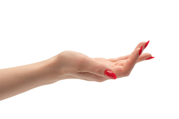 Kobieta ręka z czerwonymi paznokciami trzyma coś, odizolowany na białym tle.  - Zdjęcie, obraz