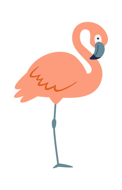 Flamingo de pé Bird Vector Ilustração - Vetor, Imagem