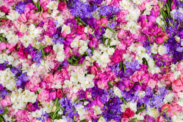 beautiful colorful flowers on white background, top view - Photo, image