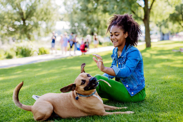 Multiracial girl sitting and resting with her dog outside in the park, training him, spending leisure time together. Concept of relationship between a dog and teenager, everyday life with pet. - Foto, afbeelding