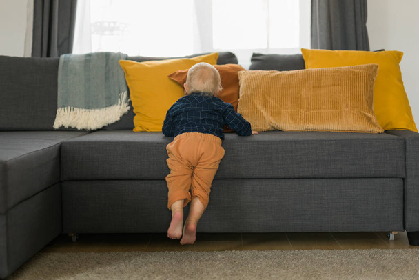 Toddler boy laughing having fun standing near sofa in living room at home. Adorable baby making first steps alone. Happy childhood and child care - 写真・画像