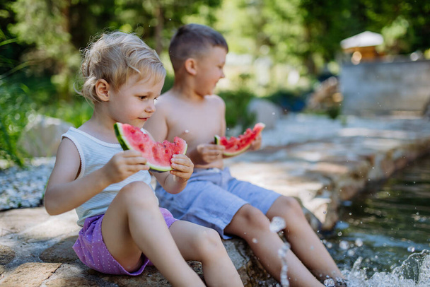 Little chidren sitting near a lake and eating watermelon on hot sunny day during summer vacation. - Zdjęcie, obraz