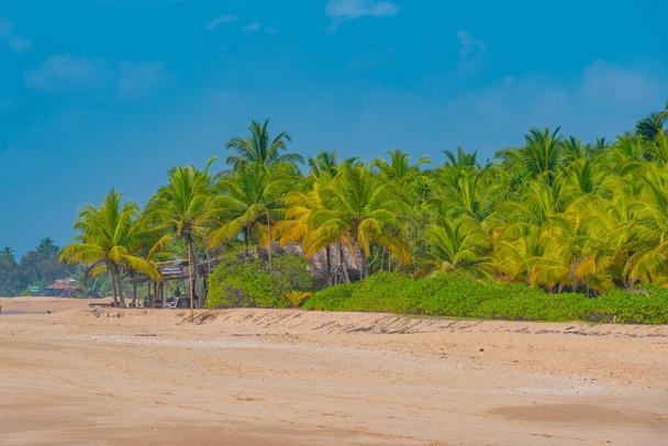 Sunny day at Marakolliya beach at Sri Lanka. - Foto, Imagem