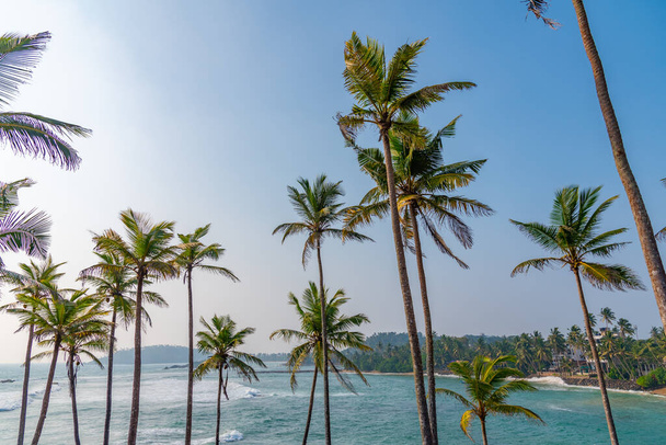 Coconut hill with view at the indian ocean at Mirissa, Sri Lanka. - Foto, afbeelding