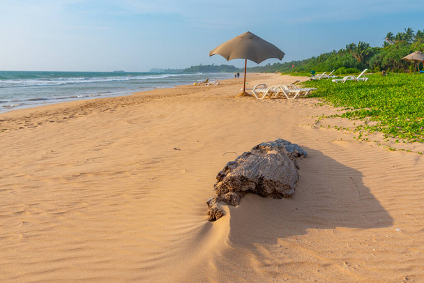 Sunny day at Bentota beach at Sri Lanka. - Foto, afbeelding