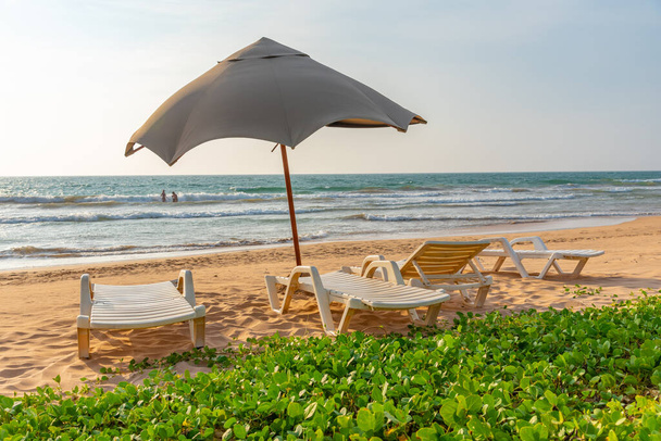 Sunbeds at Bentota beach, Sri Lanka. - Фото, зображення