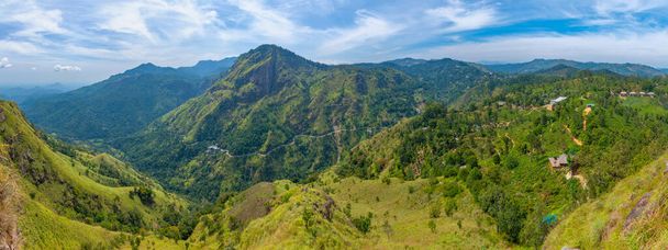Tea plantation surrounding Little Adam's peak at Ella, Sri Lanka. - Valokuva, kuva