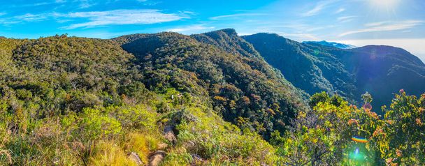 Natural landscape of Horton Plains national park at Sri Lanka. - Foto, Imagen