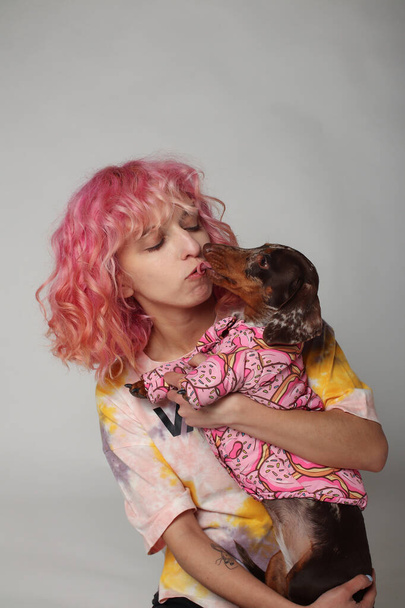 ピンクの髪の女の子が犬と笑っている。友人のマーブル・ダックスフント。白地 - 写真・画像