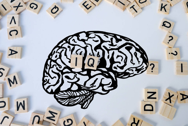 silhouette of brain, word IQ, wooden letters, intelligence quotient on wooden background, quantitative indicator expressing success, concept of level of mind, intellectual achievements testing - Zdjęcie, obraz