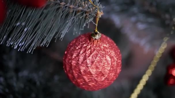 Красный блестящий Рождественский шар висит на ветке елки на размытом фоне. Закрывай. Вращение. Рождественская безделушка, мяч. Рождественское украшение. Положительные эмоции. С Новым годом. - Кадры, видео