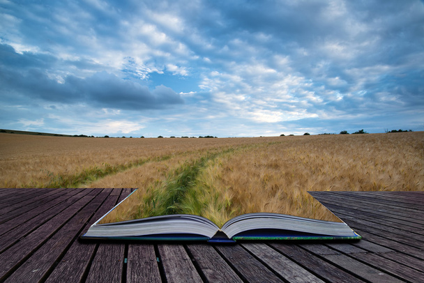 Ohromující krajina pole pšenice v létě bouřlivé nebe co - Fotografie, Obrázek