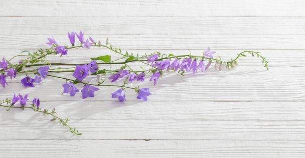 bluebell flowers  on white wooden background - Foto, afbeelding
