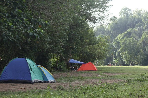 Zelte auf einem Feld mit Bäumen im Hintergrund - Foto, Bild