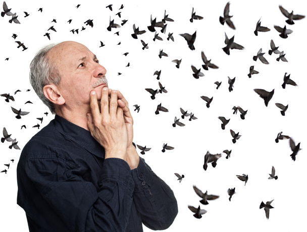 Anciano mirando a los pájaros voladores
 - Foto, imagen